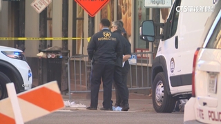 美紐奧良汽車撞人群10死　嫌遭擊斃搜出「IS旗」