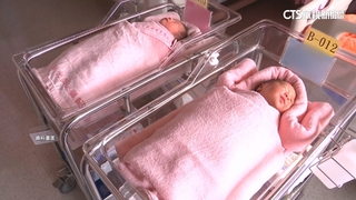 最慘澹龍年！2024新生兒創新低！　相較去年減少逾9萬