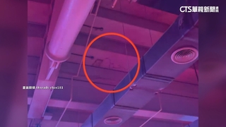 大巨蛋天花板驚見裂痕！　遠雄：不影響建築安全
