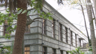 大巨蛋演唱會傷松菸？　專家：有地震留下來的痕跡