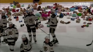 天降10萬隻玩偶　AHL年度丟泰迪熊公益超暖心