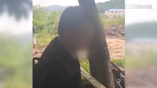 誆「辦貸款」可抽佣！男失聯逾2個月　遭拐去泰緬園區