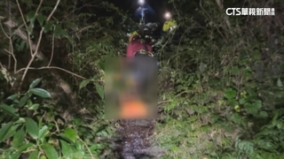 情侶帶2狗摔東眼山山坡密林　消防員架繩索救援