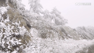 冷氣團發威！嘉明湖積雪2公分　合歡山清晨下雪霰