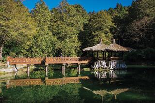 10大春節出遊景點／從阿里山山腳玩到山頂　一次賞湖光山色、餵食梅花鹿