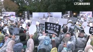 黃國昌號召小草「釘孤枝」　王琬諭：滿足一己.一黨之私