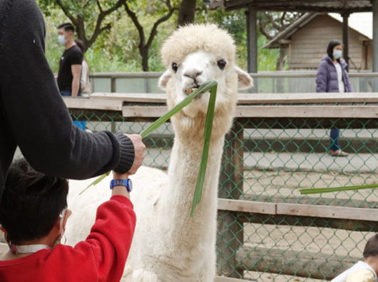 圖／頑皮世界野生動物園