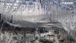 武陵農場成冰晶世界！　清晨-3.3度車內瓶水結冰