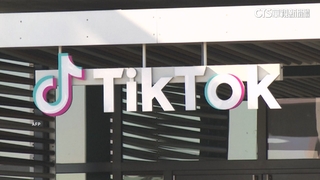 傳馬斯克將接管在美國業務　TikTok駁：純屬虛構