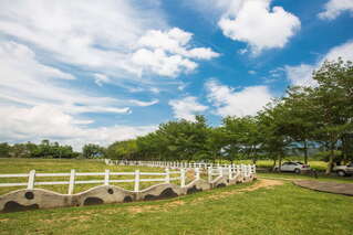 10大春節出遊景點／花蓮遊零距離親餵乳牛　海洋公園8主題區玩不完