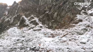 又下雪了！　合歡山雪夾霰　遊客興奮衝出車外歡呼