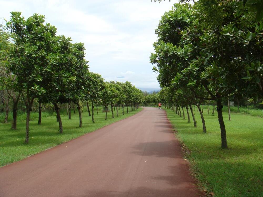 台東森林公園。圖／交通部觀光署