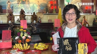 蔡壁如PK黃國昌　民眾黨主席補選確定2人競爭