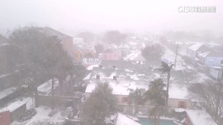 美南部罕見冬季風暴已11死　佛州.德州成銀白世界