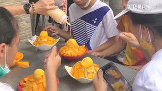 楠西.玉井重災區影響芒果產量？　果農：暫無影響