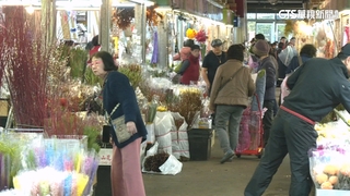 新年花開富貴！　9天連假首日　花市一早湧人潮