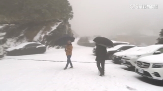 入冬最大雪！雪霸觀霧美如北歐　合歡山雪加霰積雪10cm