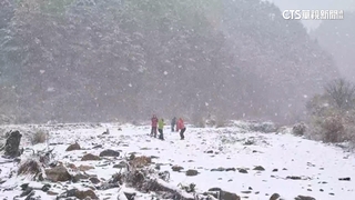 入冬最大雪！合歡積雪10cm　雪霸雪景如夢幻北歐