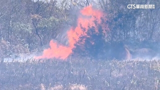 小年夜金門連2火災！　東北季風助長大火延燒