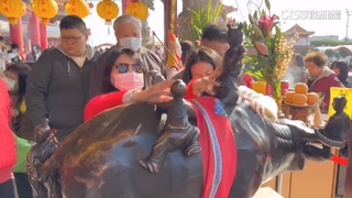 初一拜廟人潮！　搶摸春牛排錢母　擲5聖筊帶回財神爺