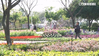新春出遊賞花！　彰化溪州公園成「花香世界」美不勝收