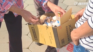 高雄「吉伊卡哇」盜版氾濫　警方.攤商你追我跑