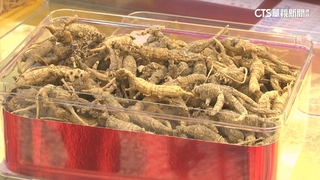 網友誆買野山蔘穩賺不賠　60歲男遭詐250萬