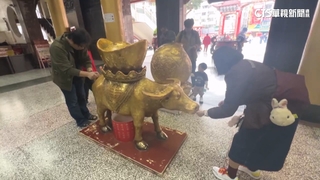 初五迎財神！　高雄武廟金箔貼春牛　松山霞海城隍廟發錢母