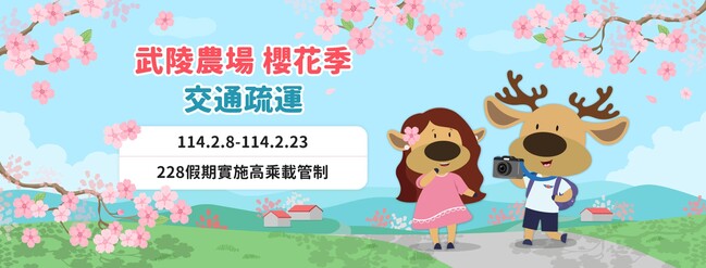 武陵農場櫻花季2/8粉墨登場　豐原監理站籲多加利用公共運輸接駁入場 | 華視新聞