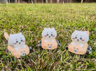 吉伊卡哇小提燈2/8、9下午4點開始發放！　發放地點、規則一次看