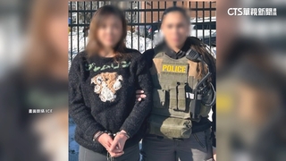 台灣女通緝犯在美落網　身分曝是劉喬安涉毒品.詐欺等罪
