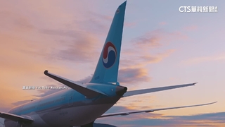 擠下卡達！　大韓奪最佳航空公司　長榮.星宇也上榜
