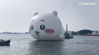 「吉伊卡哇」掀高雄萌風潮！　兩週吸450萬人次朝聖