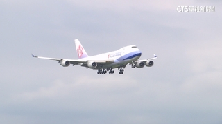 「陪飛員」夢幻職業獨家揭祕　飛日完成「孝親任務」