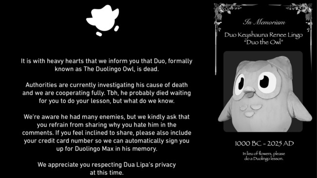 多鄰國宣布吉祥物貓頭鷹「Duo」離世 全網哀悼:這樣誰來凌晨叫我上課 | 華視新聞