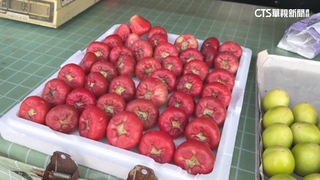 「蓮霧棗子橘子各3顆共360元」民眾嫌貴　網：專賣觀光客