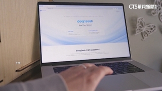 DeepSeek涉過度收集用戶個資　南韓下令暫時下架