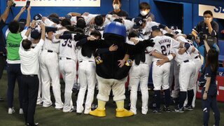 日職養樂多吉祥物「燕九郎」操偶師離世　球團悲痛證實