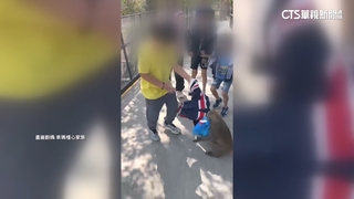 獼猴搶童飲料「衣扯到變形」　壽山動物園籲別與猴爭奪