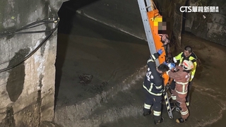 新莊走失跌落樹林大排　婦困5公尺深獲救送醫