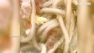 高雄知名水餃店「湯麵有果蠅」　業者退費致歉消毒