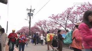 去年1684萬人次出國！　外國客遊台僅785萬人次