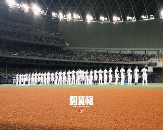 日球迷大巨蛋為台灣隊應援「我們在東京等待」　球迷：看到直接眼淚飆出來