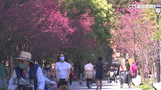 228連假如夏飆30℃　下週二「鋒面+東北季風」再轉冬天