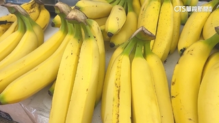香蕉拍賣價每公斤飆150元！　旗山農會估入夏價格回穩