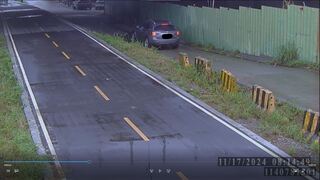 三鶯橋下紙箱裝2棄養幼犬　動保處開罰飼主6萬元