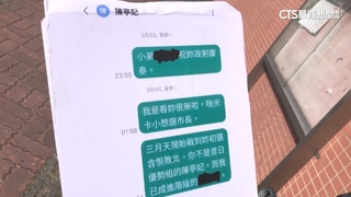 陳亭妃稱「收恐嚇簡訊」報警　涉案人為綠黨員反控誣告