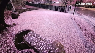 中台多地降冰雹！民眾被砸喊痛　能見度差車慢速行駛