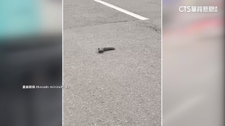 真的撿到槍！台中馬路驚見手槍　警趕往現場：假的