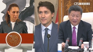 中.加.墨報復美國關稅　美股憂關稅戰連2天下跌